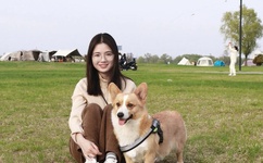 最近最新高清中文字幕免费大全